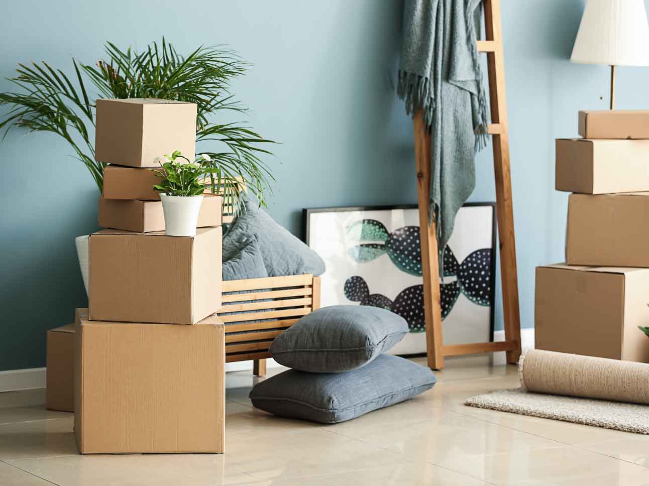 shutterstock_1356740861-optimized Storage boxes
