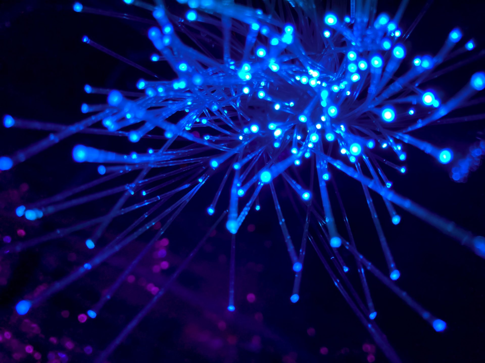 cables with lights